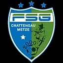 FSG Logo